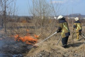 Eliminate ignition of dry grass