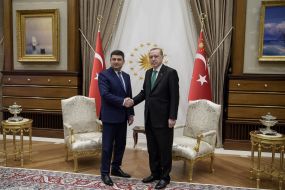 Владимир Гройсман и Реджеп Тайип Эрдоган