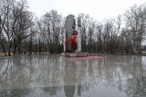 Пам'ятник Олені Телізі облитий фарбою