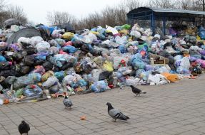 Garbage near the apartment building