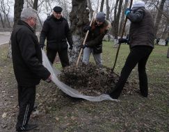 Toloka in the Mariinsky Park