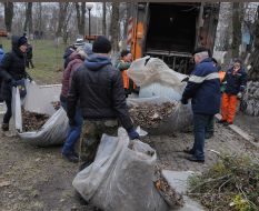 Toloka in the Mariinsky Park