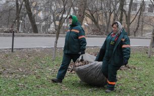 Toloka in the Mariinsky Park