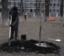 Planting trees