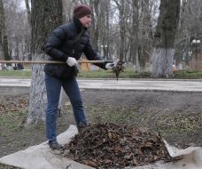 Toloka in the Mariinsky Park