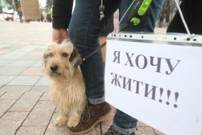 Action of animal advocates "Stop the killing and torture of animals!"