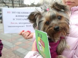 Action of animal advocates "Stop the killing and torture of animals!"