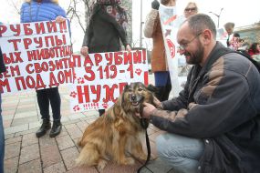 Action of animal advocates "Stop the killing and torture of animals!"