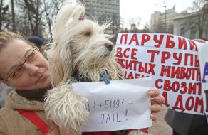 Action of animal advocates "Stop the killing and torture of animals!"