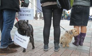 Action of animal advocates "Stop the killing and torture of animals!"
