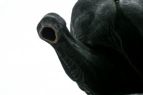 Поврежденный памятник Щорсу