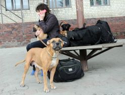 Evacuated residents of Balakleya