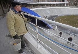 Reconstruction of the capital racetrack