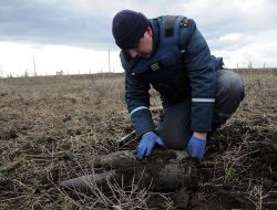 Minesweeper rozminovuye field