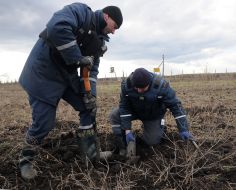 Minesweeper rozminovuye field