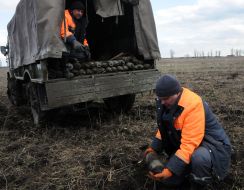 Minesweeper rozminovuye field