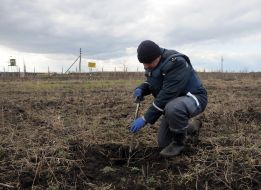 Minesweeper rozminovuye field