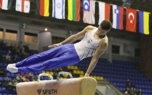Roman Shklyarenko