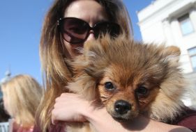 Participant of the action with a dog