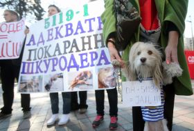 Action zoo defenders near the Verkhovna Rada