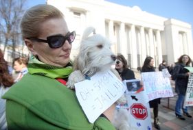 Action zoo defenders near the Verkhovna Rada