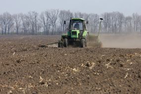 Spring field work