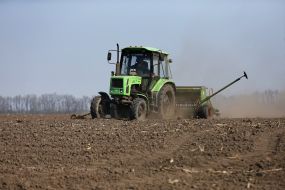 Spring field work