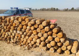 Arsenal of ammunition
