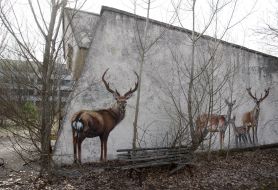 Graffiti in abandoned house