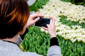 Tulip Festival "Secrets of the Easter Eggs"