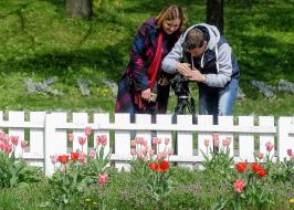 Tulip Festival "Secrets of the Easter Eggs"