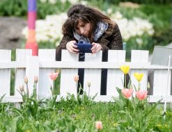 Tulip Festival "Secrets of the Easter Eggs"