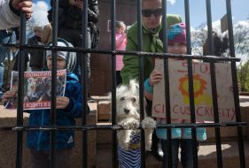 Meeting for a circus without animals in Kiev