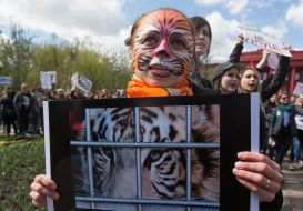 Meeting for a circus without animals in Kiev