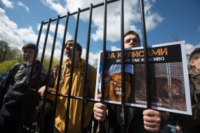 Meeting for a circus without animals in Kiev