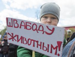 Meeting for a circus without animals in Kiev