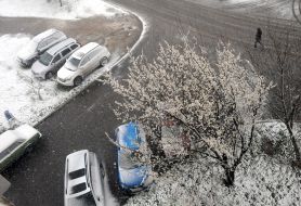 Snow in Kharkiv