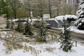 Snow fell in  Dniepr