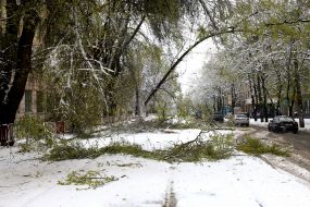 Snow fell in  Dniepr