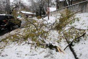 Snow fell in  Dniepr