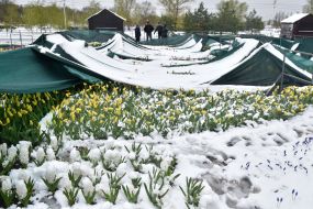 Снег в Запорожье