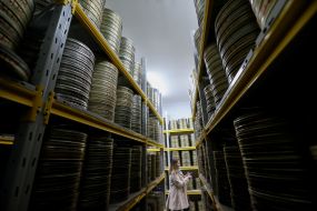 National Center of Alexandr Dovzhenko