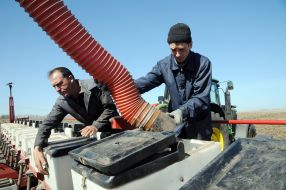 Spring field work in the Kharkov region 