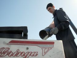 Spring field work in the Kharkov region