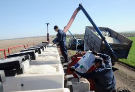 Spring field work in the Kharkov region