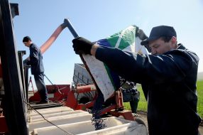 Spring field work in the Kharkov region