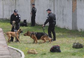 Кинологи с собаками