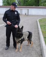 Кинолог с собакой