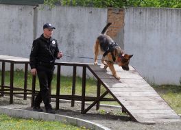 Кинолог с собакой