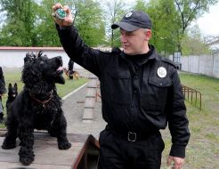 Кинолог с собакой